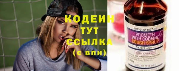 трава Тавда