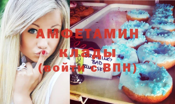 2c-b Тайга
