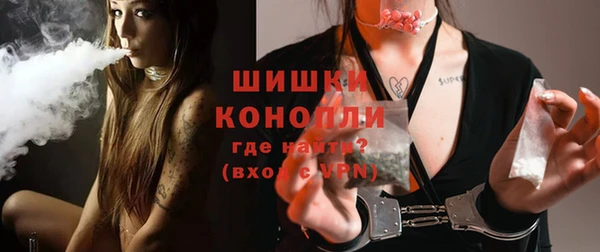трава Тавда