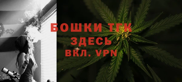2c-b Тайга