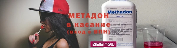 трава Тавда