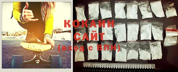2c-b Тайга