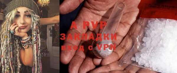трава Тавда