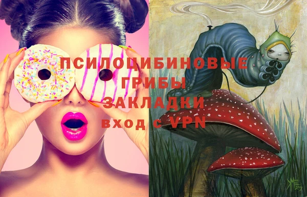 2c-b Тайга